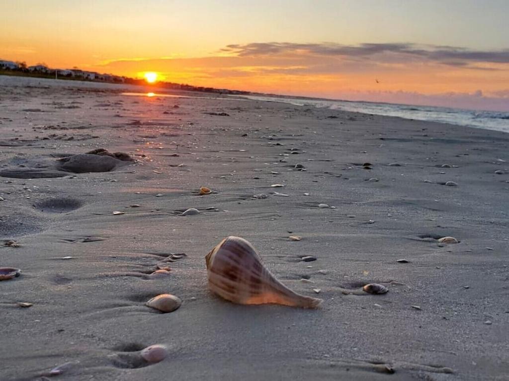 Tortuga Tillys Cape San Blas エクステリア 写真