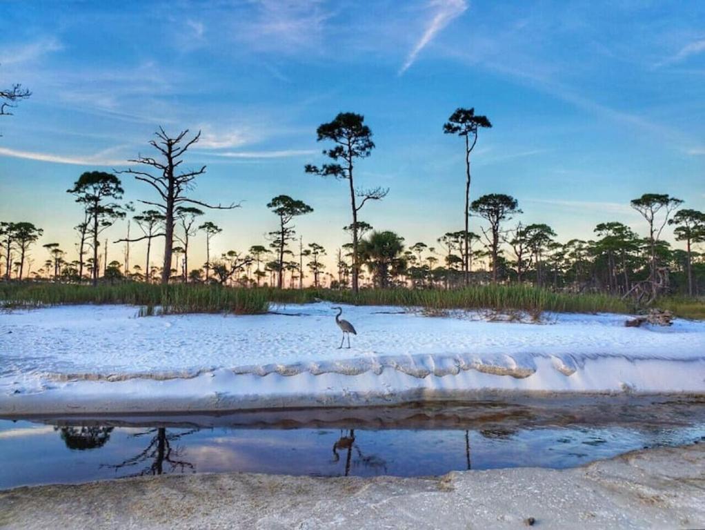 Tortuga Tillys Cape San Blas エクステリア 写真