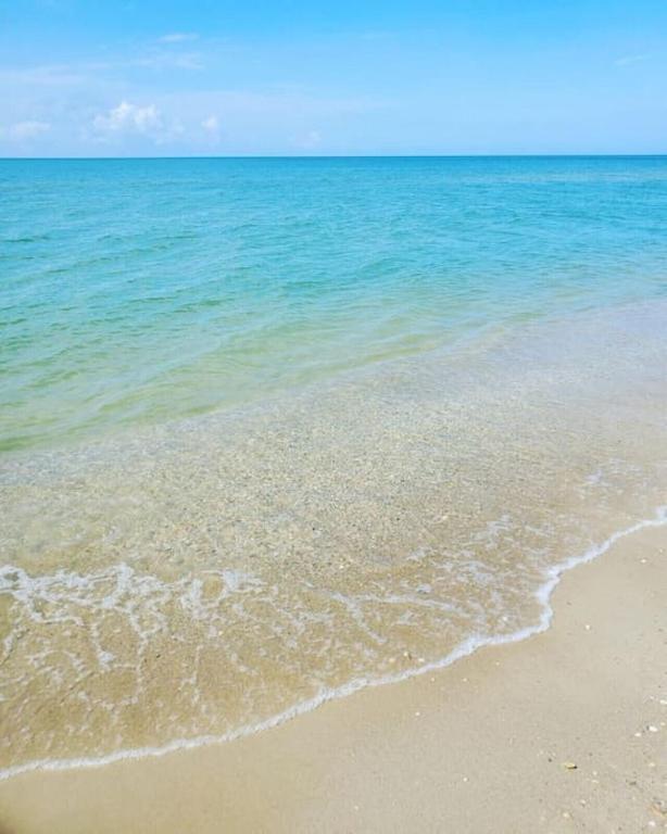 Tortuga Tillys Cape San Blas エクステリア 写真